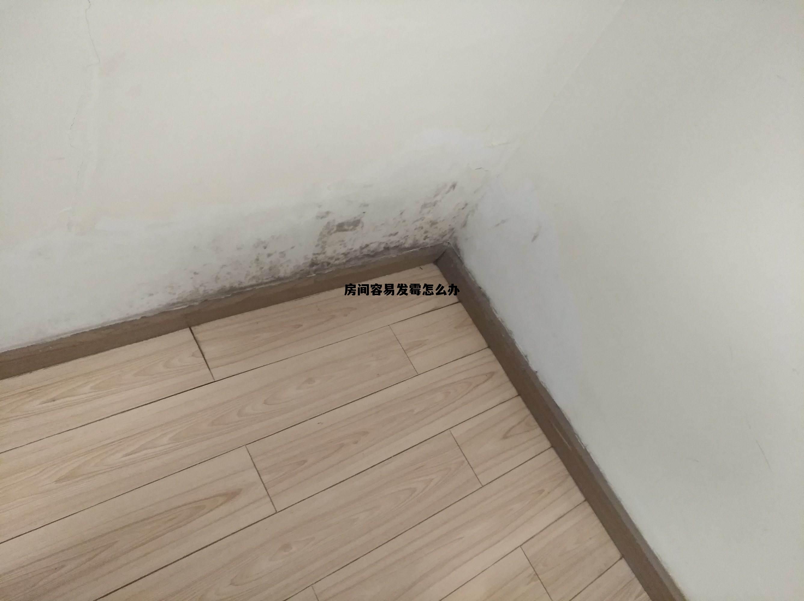 房间很容易发霉怎么办?，房间容易发霉怎么办